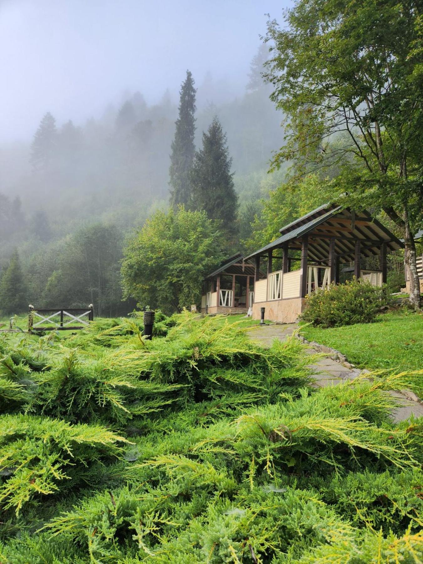 Tsarynka Eco Complex Otel Slavske Dış mekan fotoğraf
